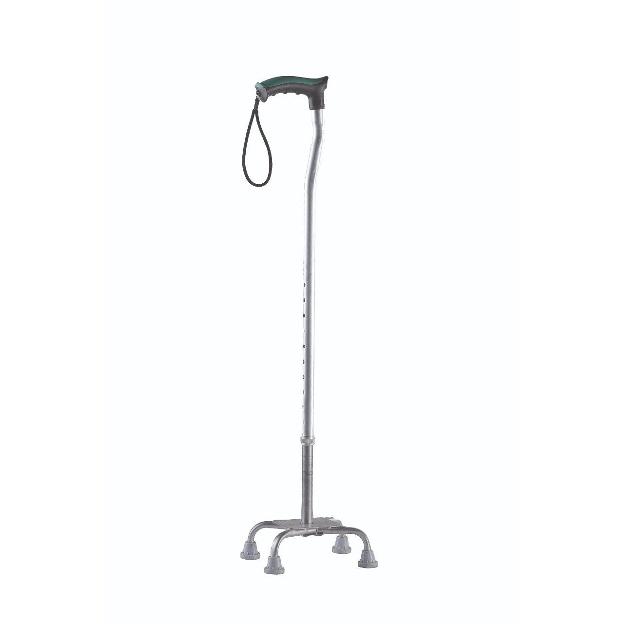 Walking Stick