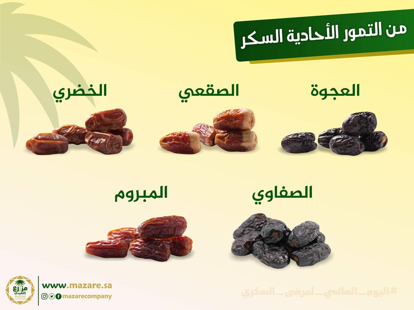 AJWAH DATES