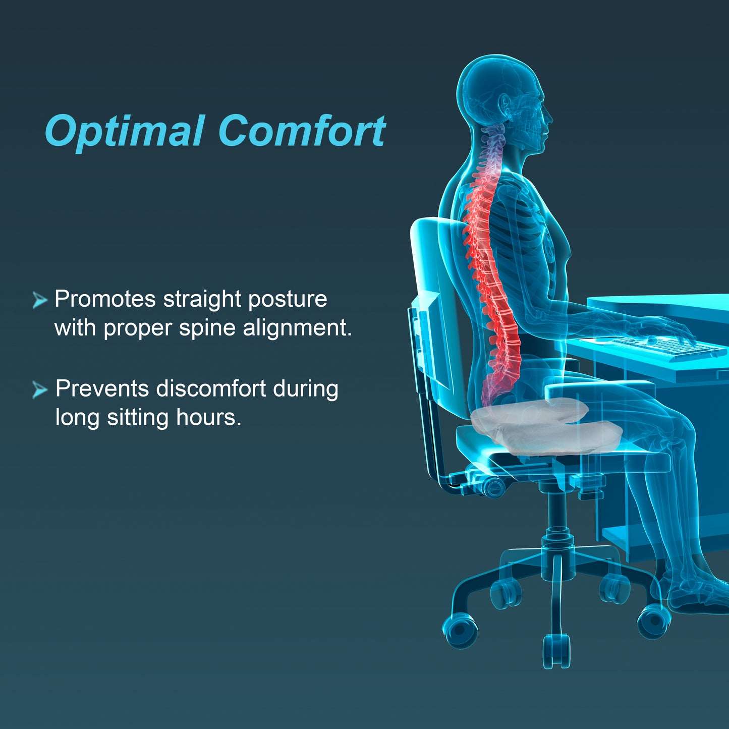 Tynor Ortho Cushion Seat, Universal