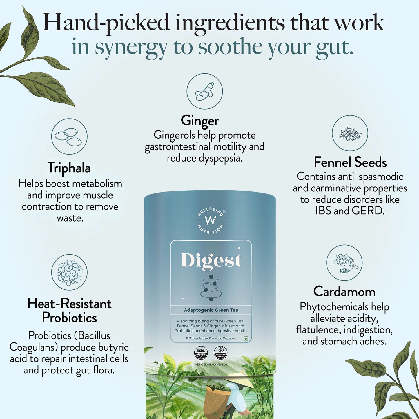 Wellbeing Digest Adaptogenic Green Tea