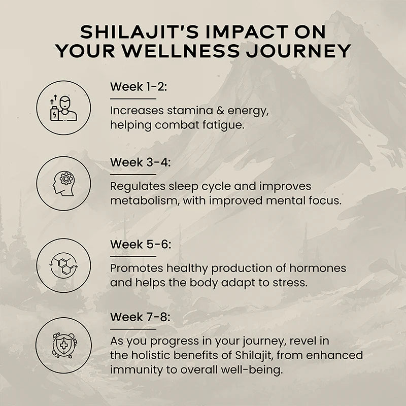 Wellbeing Shilajit Resin