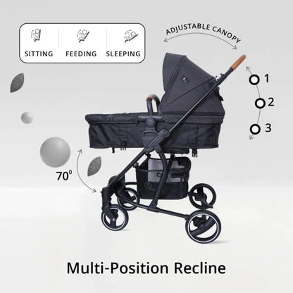 R for Rabbit Paradise 2 In 1 Baby Stroller Cum Carry Cot