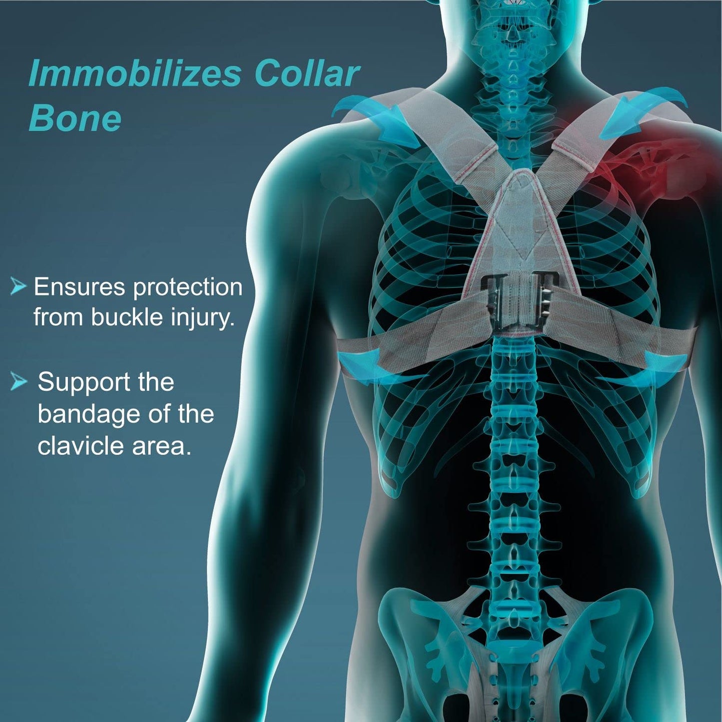 Tynor Clavicle Brace with Buckle