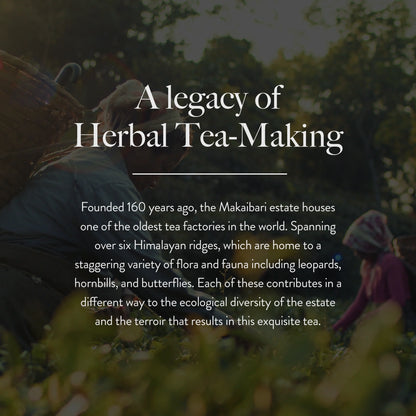 Wellbeing Focus Adaptogenic Herbal Tea